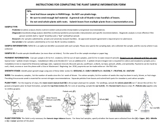 Form AD-4 Plant Sample Information - North Carolina, Page 2