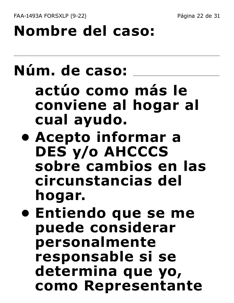 Formulario FAA-1493A-SXLP Solicitud De Representante Autorizado(A) - Letra Extra Grande - Arizona (Spanish), Page 22