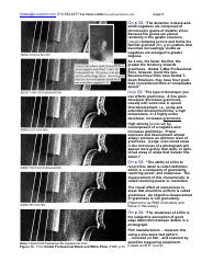Film Grain, Resolution and Fundamental Film Particles - Version 24, Page 9