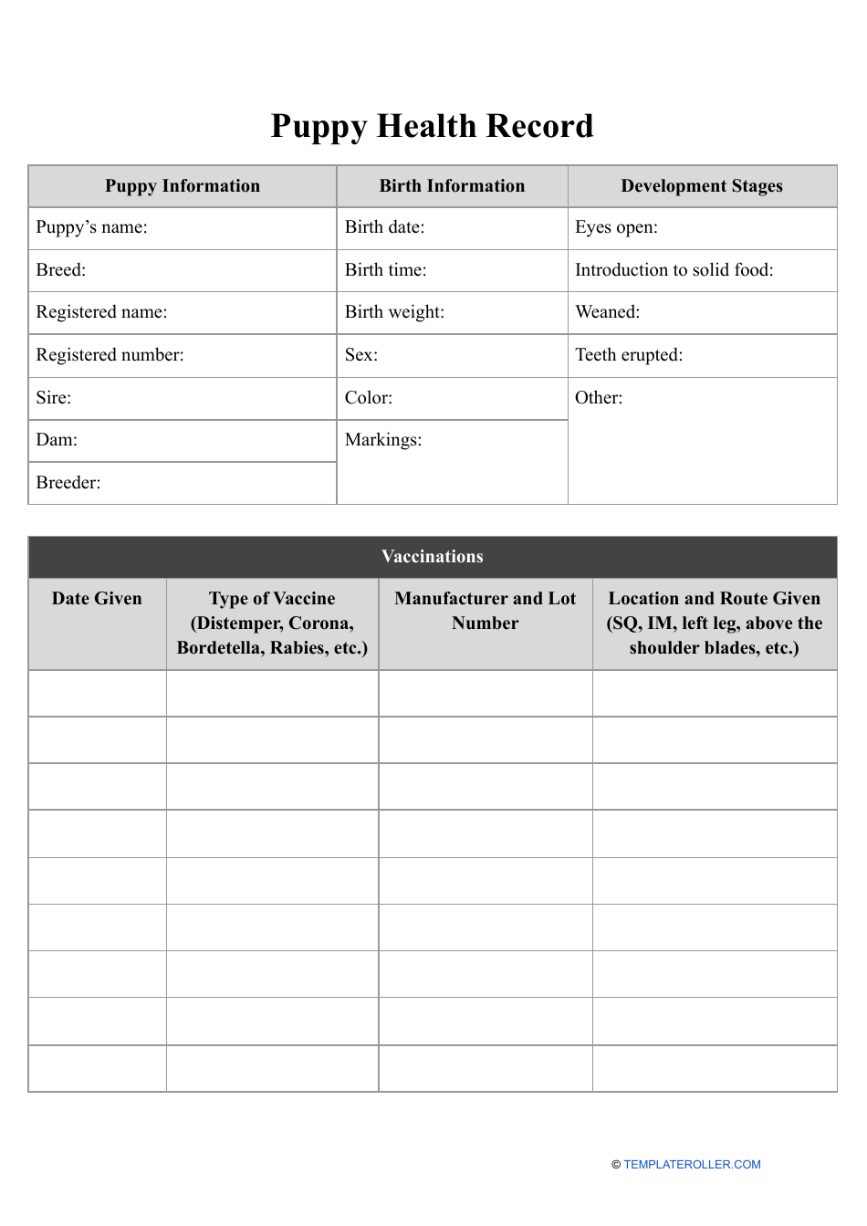Puppy health record document - Comprehensive health record template for tracking the health and medical history of your adorable puppies.