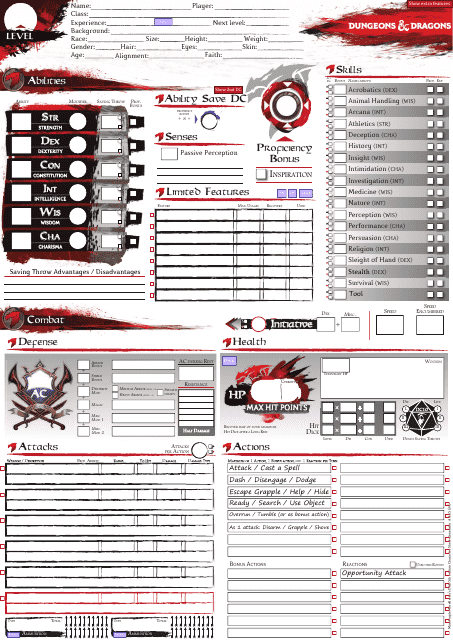 Dungeons & Dragons Gimmicky Character Sheet