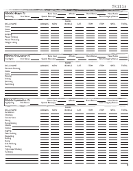 Rolemaster Character Sheet, Page 3