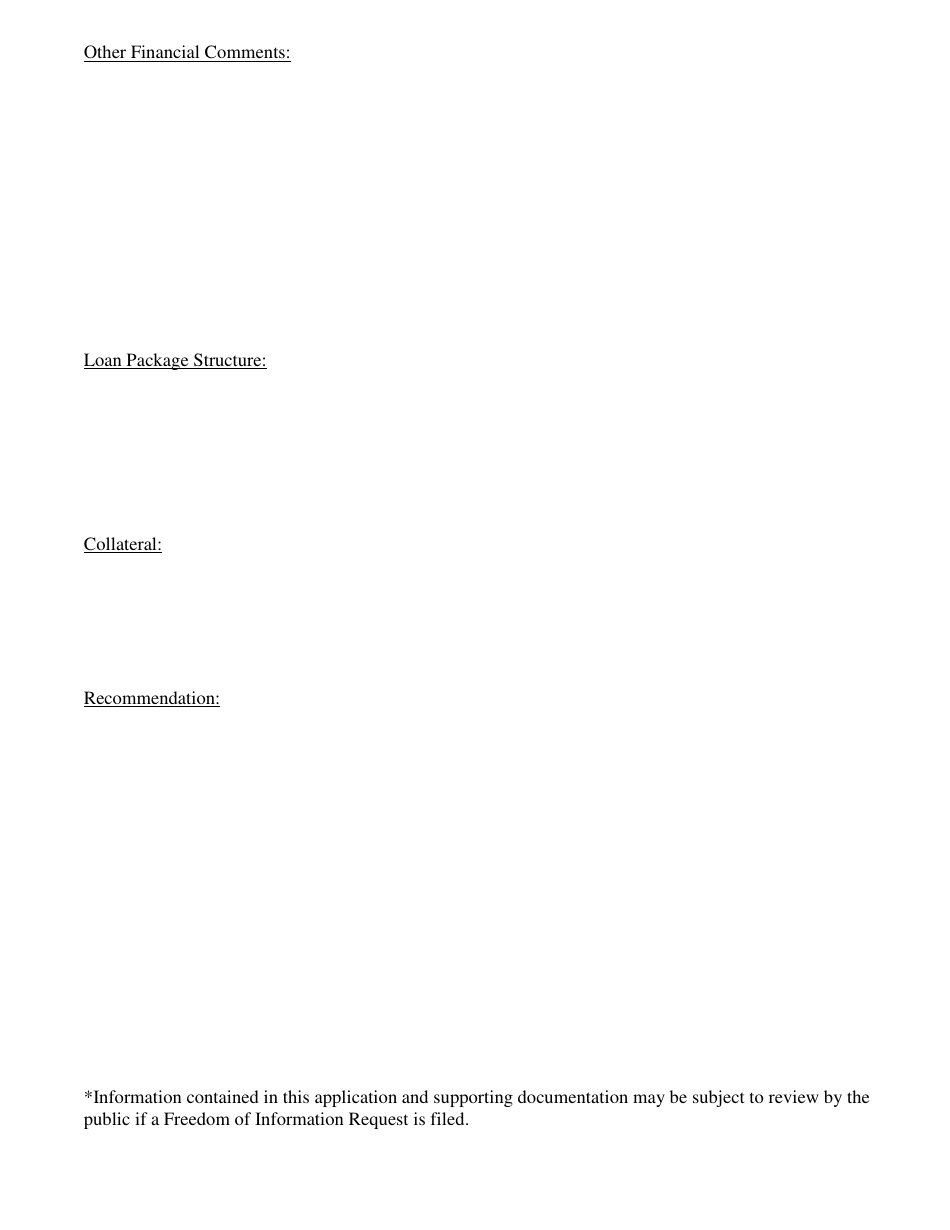 Application for Term Loan - Revolving Loan Fund - City of Muskegon, Michigan, Page 3