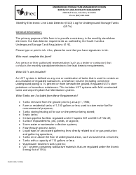 DHEC Form 4380 Monthly Electronic Line Leak Detector (Eld) Inspection Log - South Carolina, Page 2