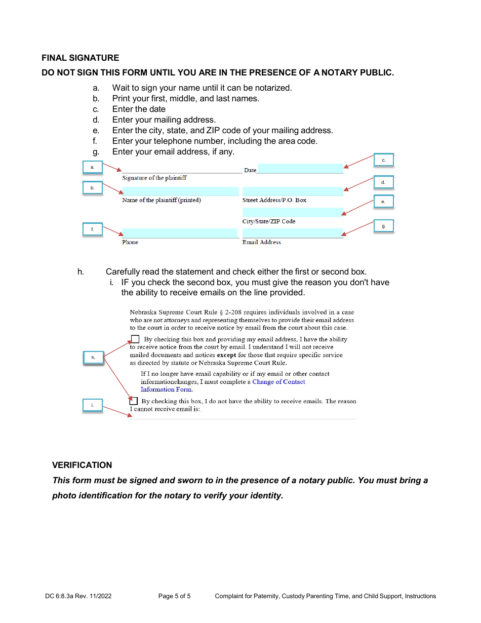 Instructions for Form DC6:8.3 Complaint for Paternity, Custody, Parenting Time, and Child Support - Nebraska, Page 5