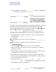 Document preview: Form DC6:8.10 Decree for Paternity, Custody, Parenting Time, and Child Support - Nebraska