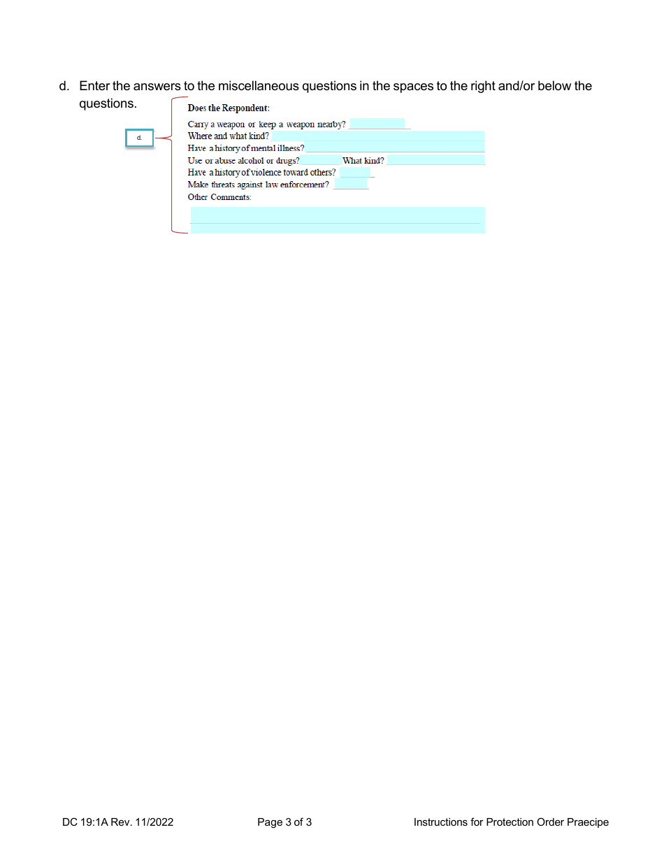 Instructions for Form DC19:1 Protection Order Praecipe - Nebraska, Page 3