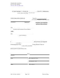 Document preview: Form DC6:16.5 Notice of Filing (Emancipation) - Nebraska