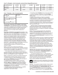 Instructions for IRS Form 990, 990-EZ Schedule A Public Charity Status and Public Support, Page 10