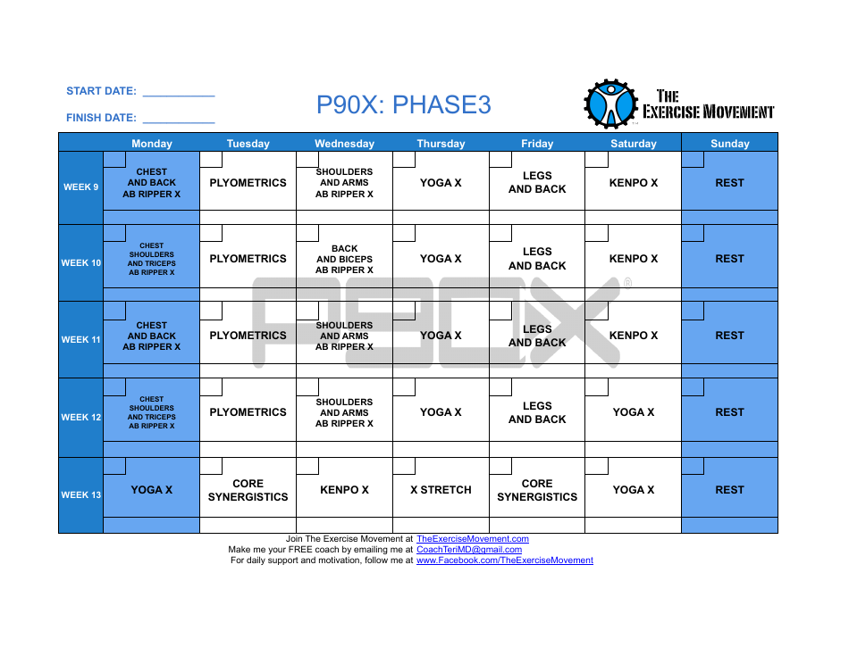 P90x Workout Schedule (Phase 1, 2, 3) the Exercise Movement Download