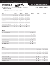 &quot;P90x Insanity Hybrid Workout Sheet Template&quot;