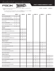 P90x Insanity Hybrid Workout Sheet Template Download ...
