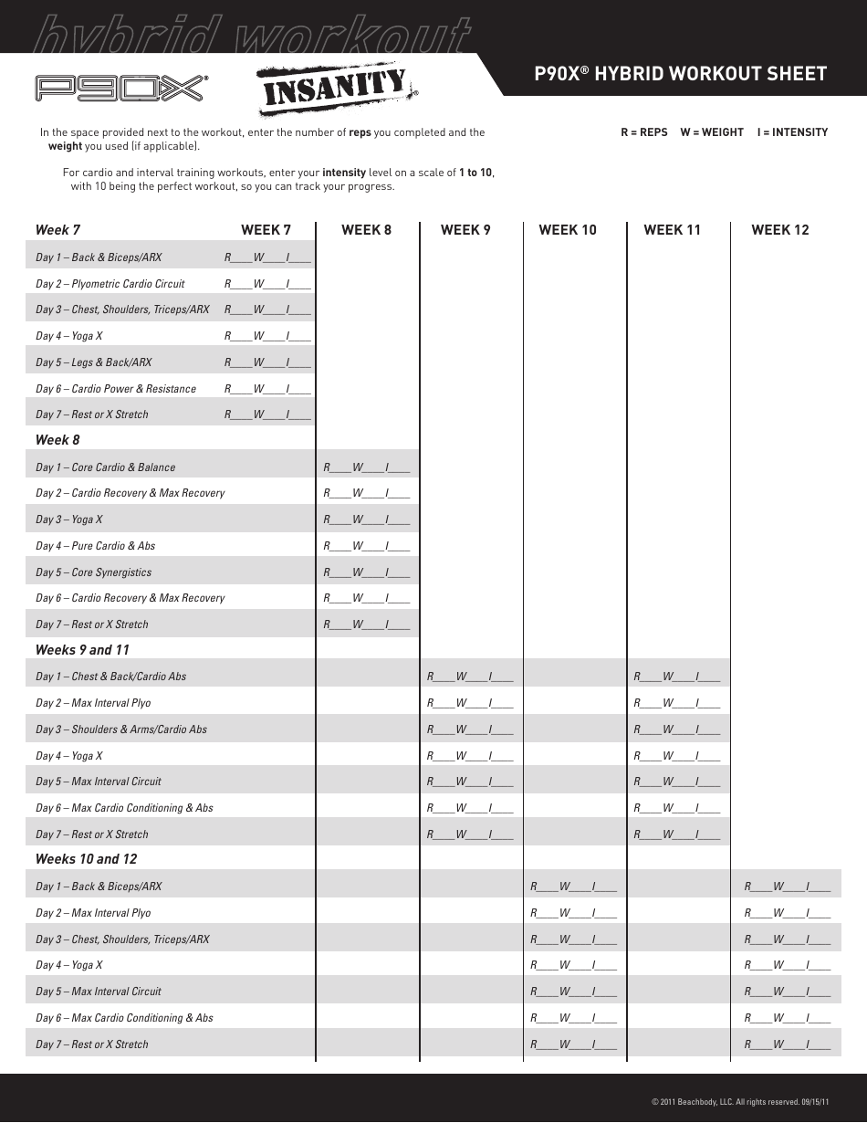 P90x Insanity Hybrid Workout Sheet Template, Page 2