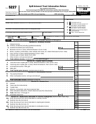 Document preview: IRS Form 5227 Split-Interest Trust Information Return