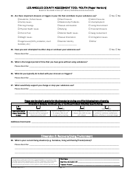 Assessment Tool - Youth (Paper Version) - County of Los Angeles, California, Page 10