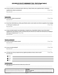 Assessment Tool - Youth (Paper Version) - County of Los Angeles, California, Page 11