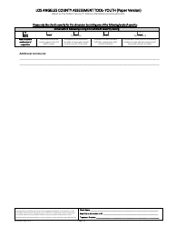 Assessment Tool - Youth (Paper Version) - County of Los Angeles, California, Page 12