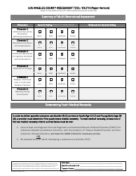 Assessment Tool - Youth (Paper Version) - County of Los Angeles, California, Page 13