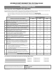 Assessment Tool - Youth (Paper Version) - County of Los Angeles, California, Page 14