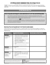 Assessment Tool - Youth (Paper Version) - County of Los Angeles, California, Page 15