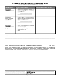 Assessment Tool - Youth (Paper Version) - County of Los Angeles, California, Page 16