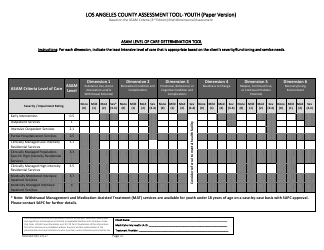 Assessment Tool - Youth (Paper Version) - County of Los Angeles, California, Page 17