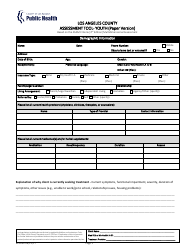 Assessment Tool - Youth (Paper Version) - County of Los Angeles, California