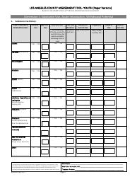 Assessment Tool - Youth (Paper Version) - County of Los Angeles, California, Page 2