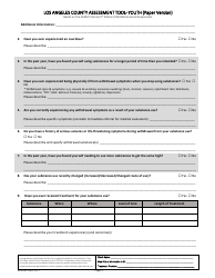 Assessment Tool - Youth (Paper Version) - County of Los Angeles, California, Page 3