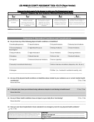 Assessment Tool - Youth (Paper Version) - County of Los Angeles, California, Page 4
