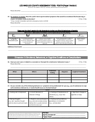 Assessment Tool - Youth (Paper Version) - County of Los Angeles, California, Page 5
