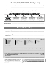 Assessment Tool - Youth (Paper Version) - County of Los Angeles, California, Page 8