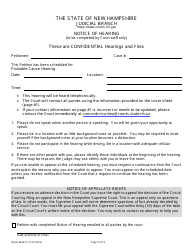 Form NHJB-2826-D Petition and Certificate for Involuntary Emergency Admission (Iea) - New Hampshire, Page 9