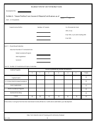 Form HM-2 Budget/Rent Determination - New York, Page 9