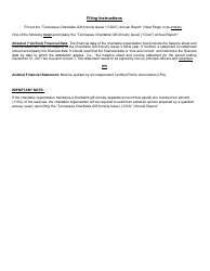 Tennessee Charitable Gift Annuity Issuer (&quot;cgai&quot;) Annual Report - Tennessee, Page 2