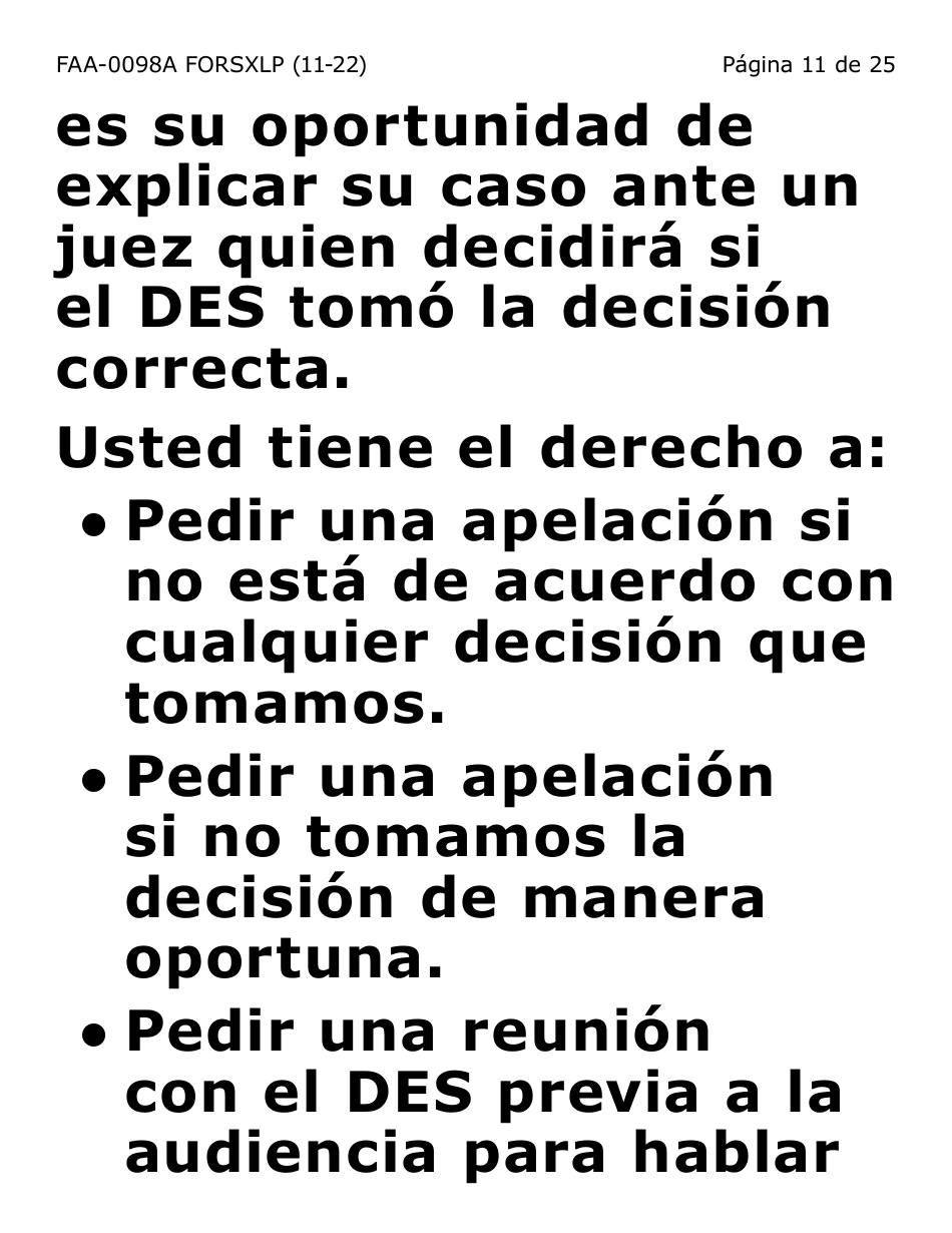 Formulario FAA-0098A-SXLP Solicitud De Apelacion (Letra Extra Grande) - Arizona (Spanish), Page 11