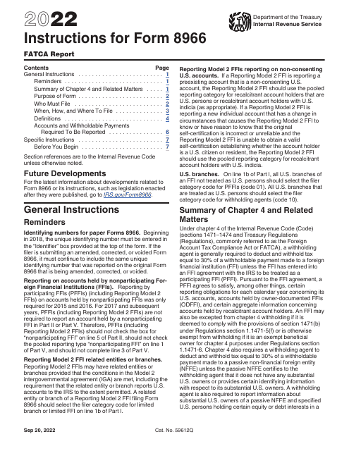 IRS Form 8966 2022 Printable Pdf