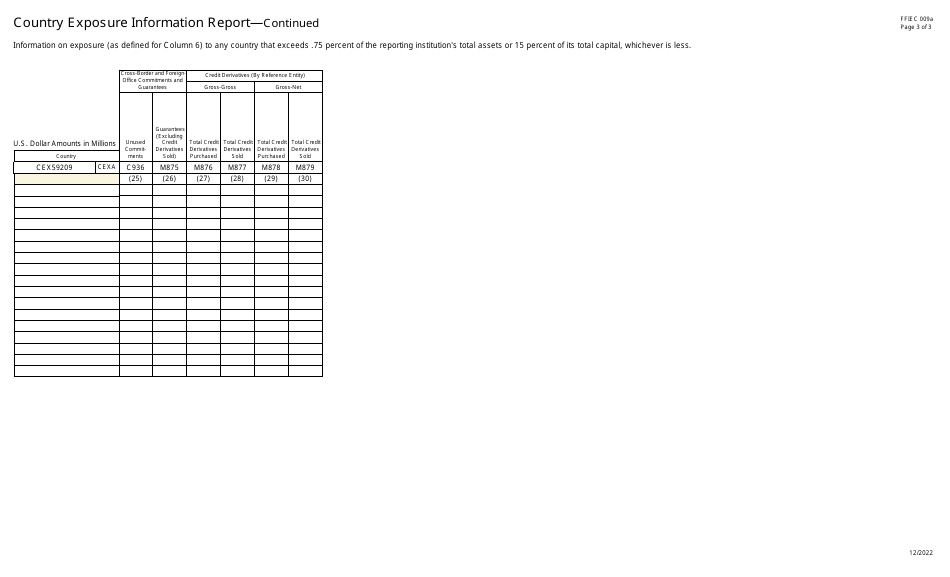 Form FFIEC009A Country Exposure Information Report, Page 3