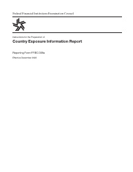 Document preview: Instructions for Form FFIEC009A Country Exposure Information Report