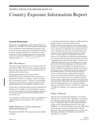 Instructions for Form FFIEC009A Country Exposure Information Report, Page 3