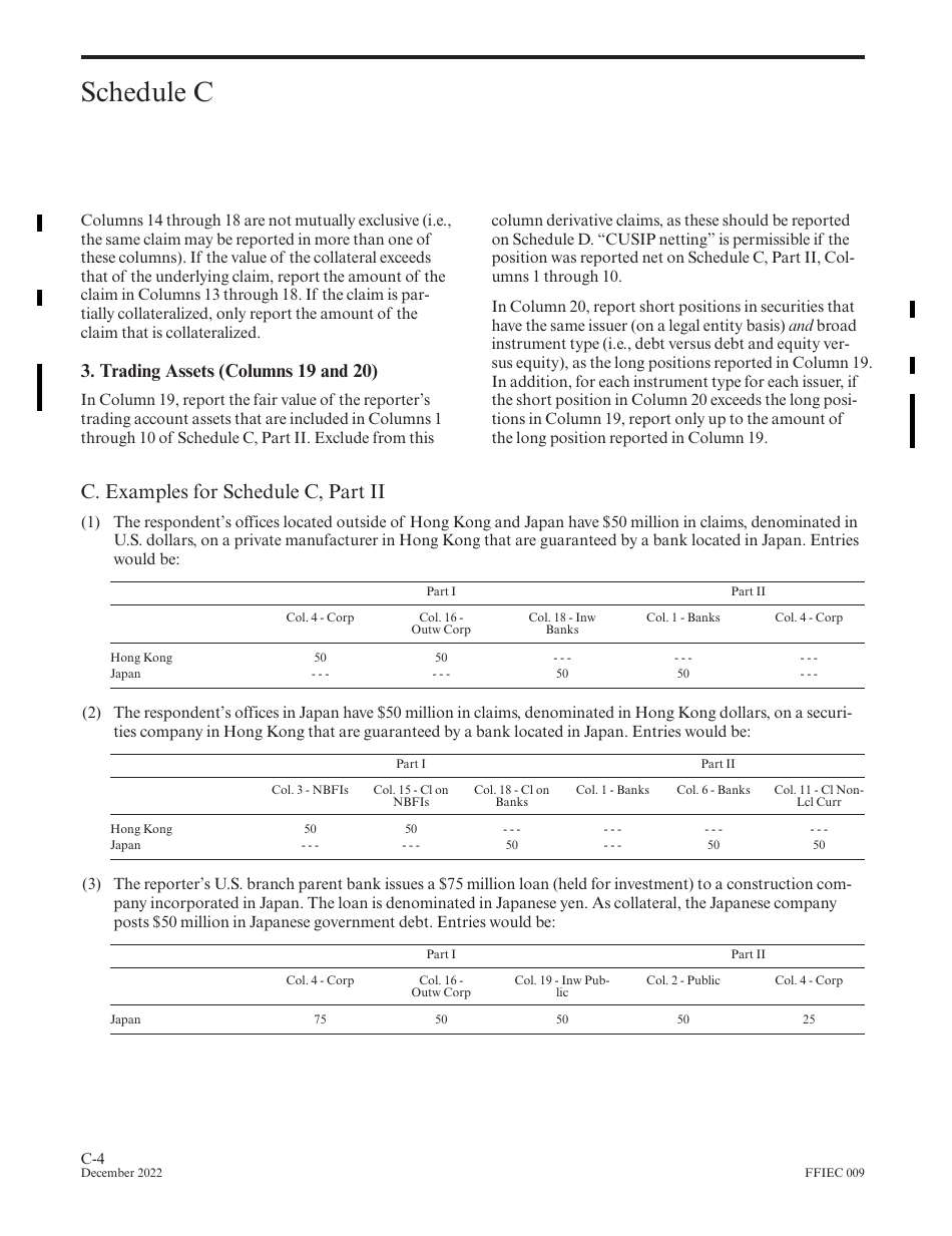 Instructions for Form FFIEC009 Country Exposure Report, Page 20