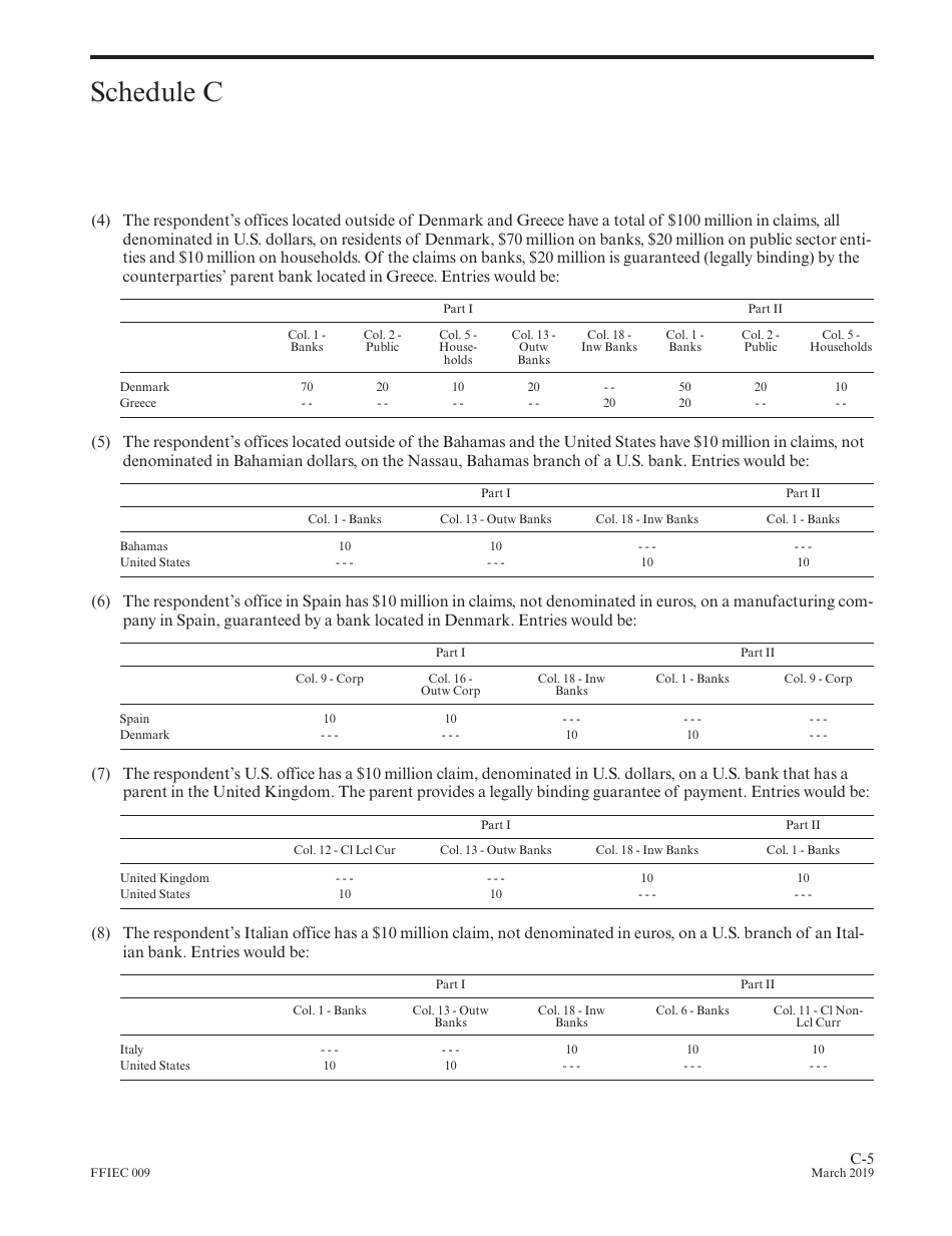Instructions for Form FFIEC009 Country Exposure Report, Page 21