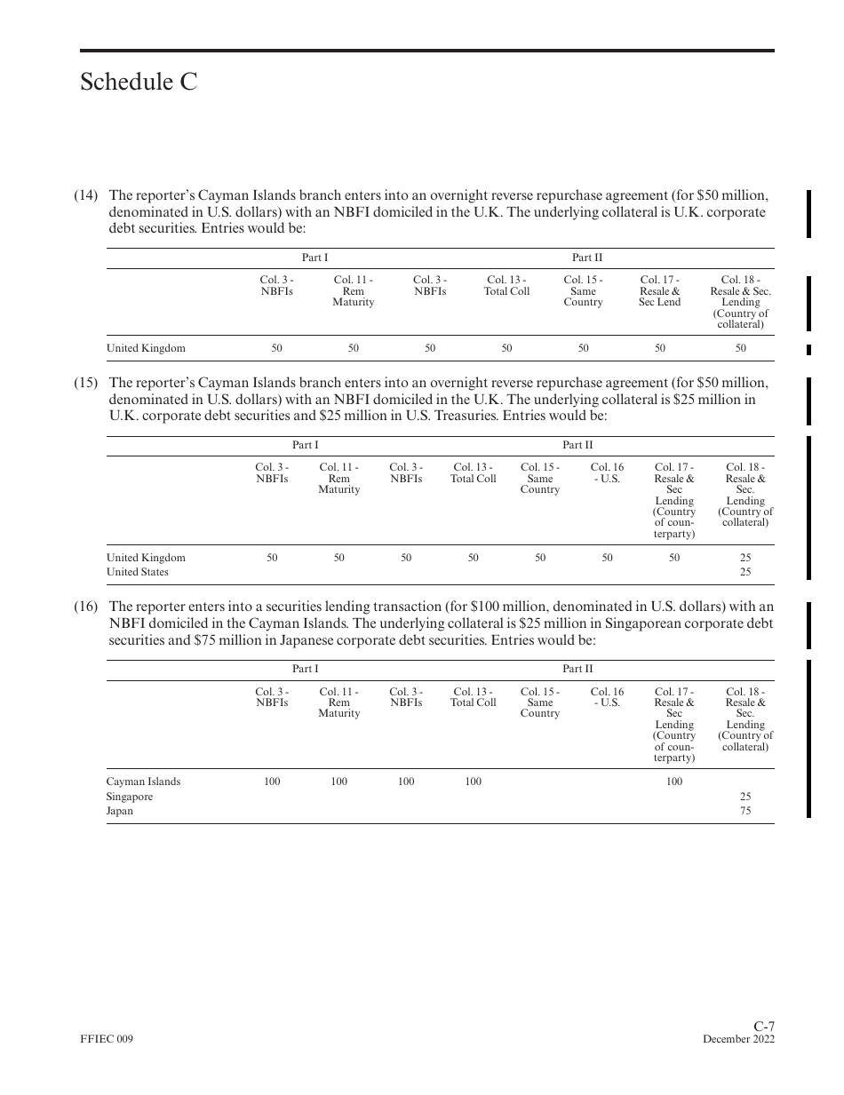 Instructions for Form FFIEC009 Country Exposure Report, Page 23