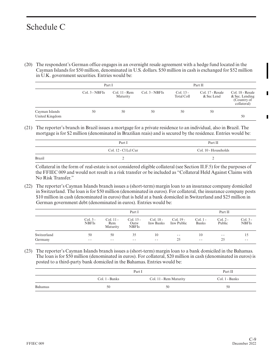 Instructions for Form FFIEC009 Country Exposure Report, Page 25