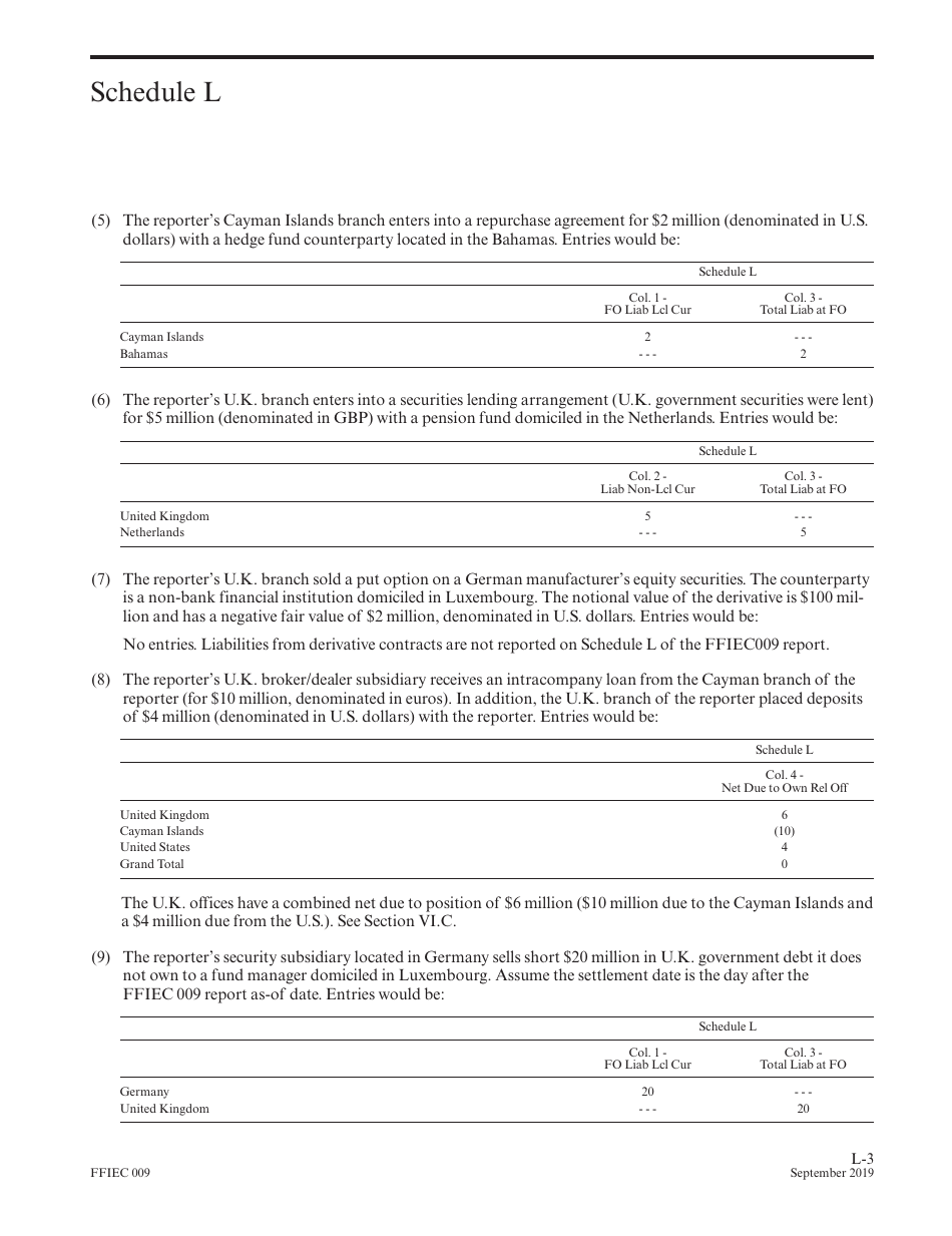 Instructions for Form FFIEC009 Country Exposure Report, Page 29