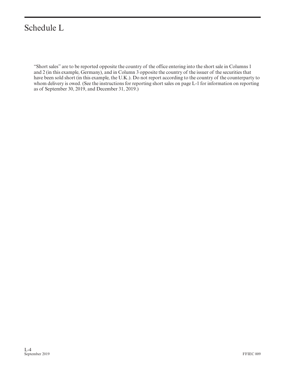 Instructions for Form FFIEC009 Country Exposure Report, Page 30