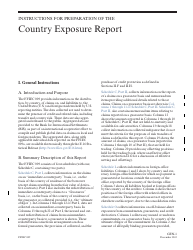Instructions for Form FFIEC009 Country Exposure Report, Page 5