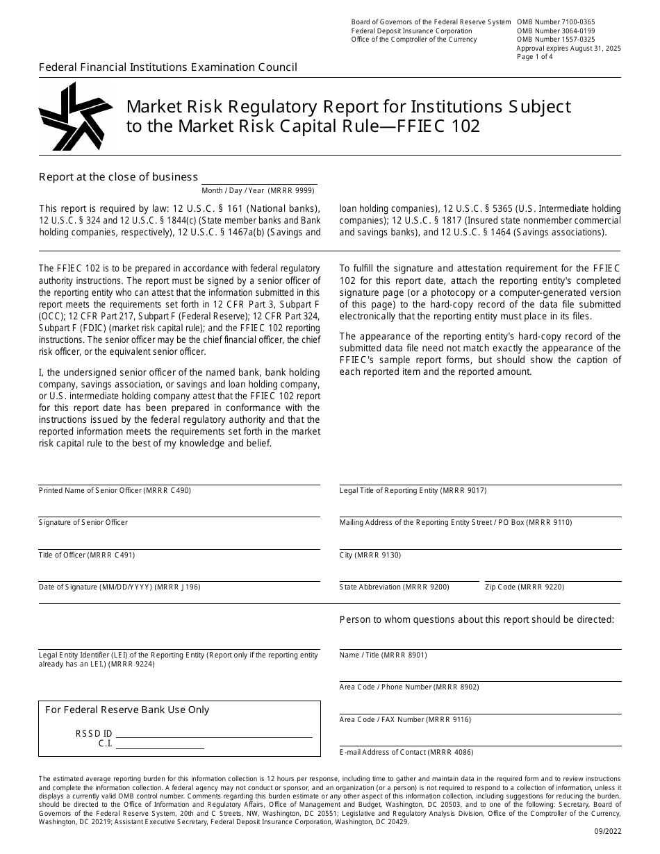 Form FFIEC102 Market Risk Regulatory Report for Institutions Subject to the Market Risk Capital Rule, Page 1