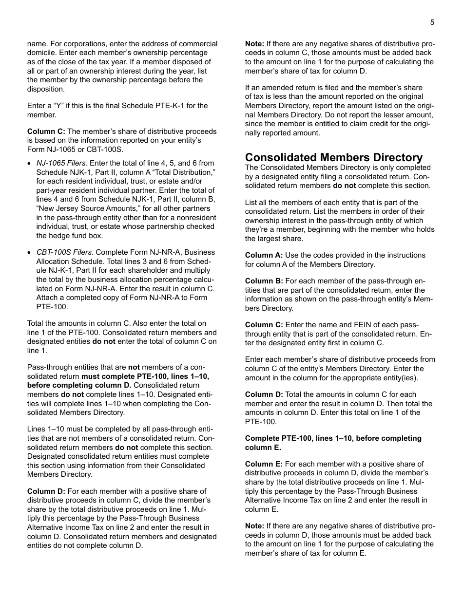 Instructions for Form PTE-100 Pass-Through Business Alternative Income Tax Return - New Jersey, Page 5