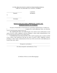 Document preview: Designation of E-Mail Address by a Party Not Represented by an Attorney - Clay County, Florida
